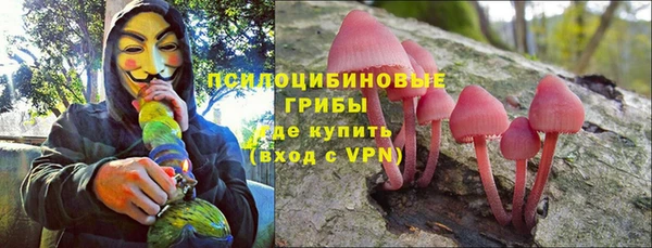 ешки Лиски
